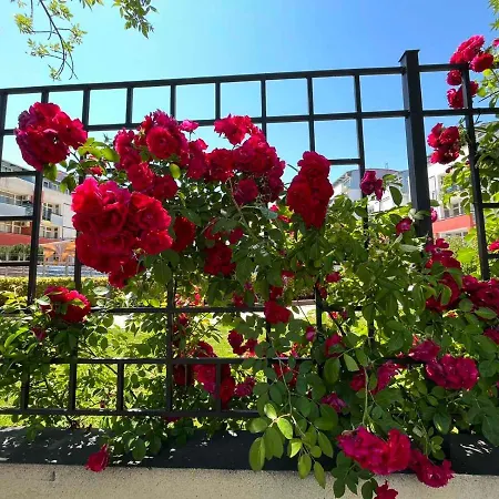 Apartament Sunny Elit3 - елит 3 апартамент Słoneczny Brzeg